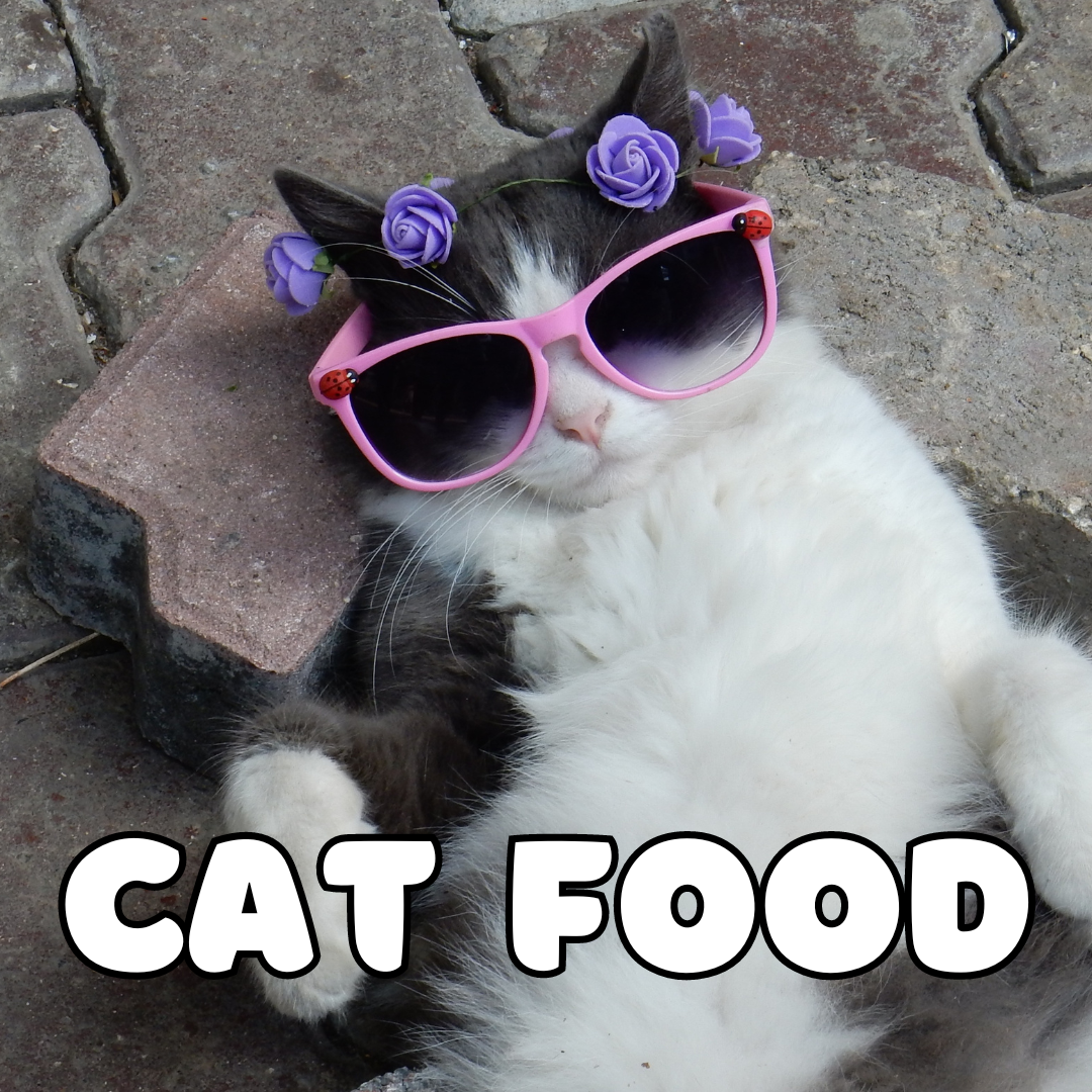 Cat Food