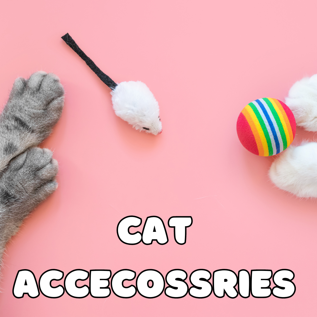 Cat Accessories