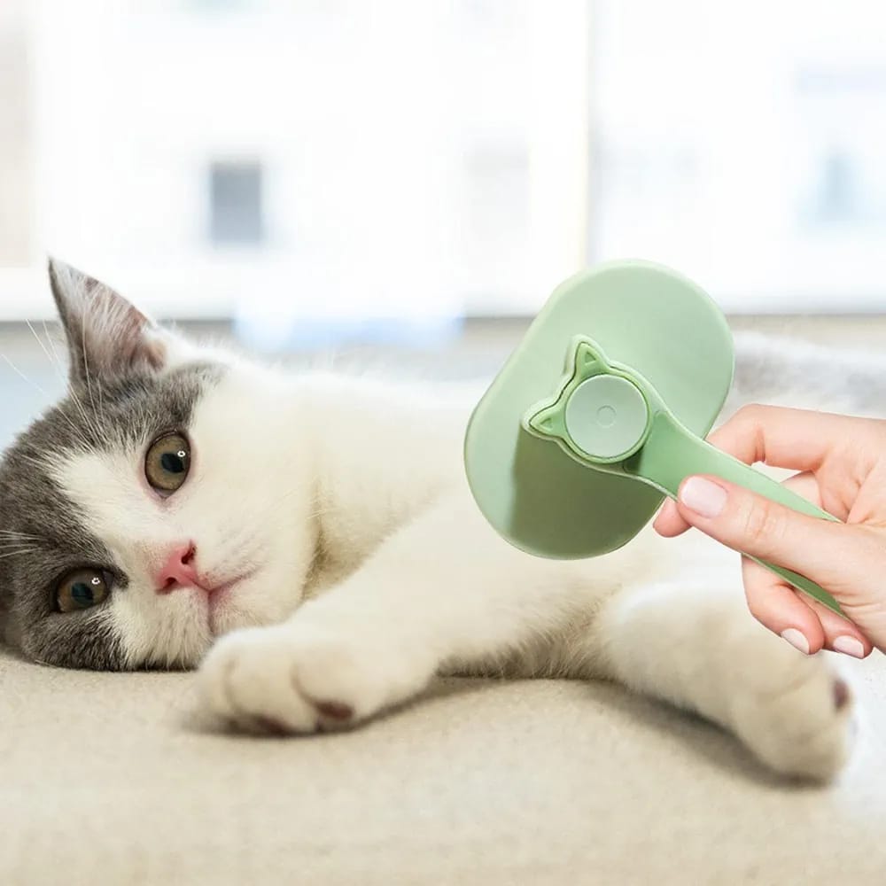 Button Bursh For Pets