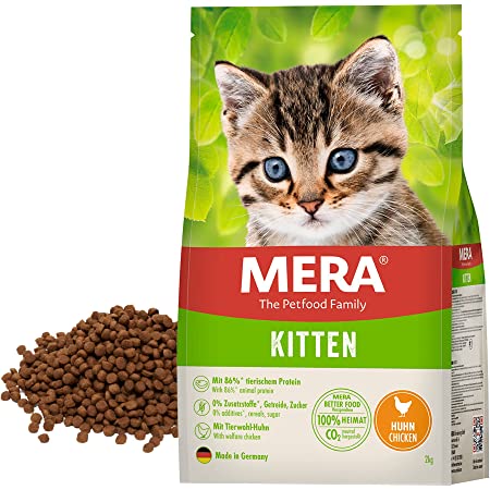 Mera All Kitten