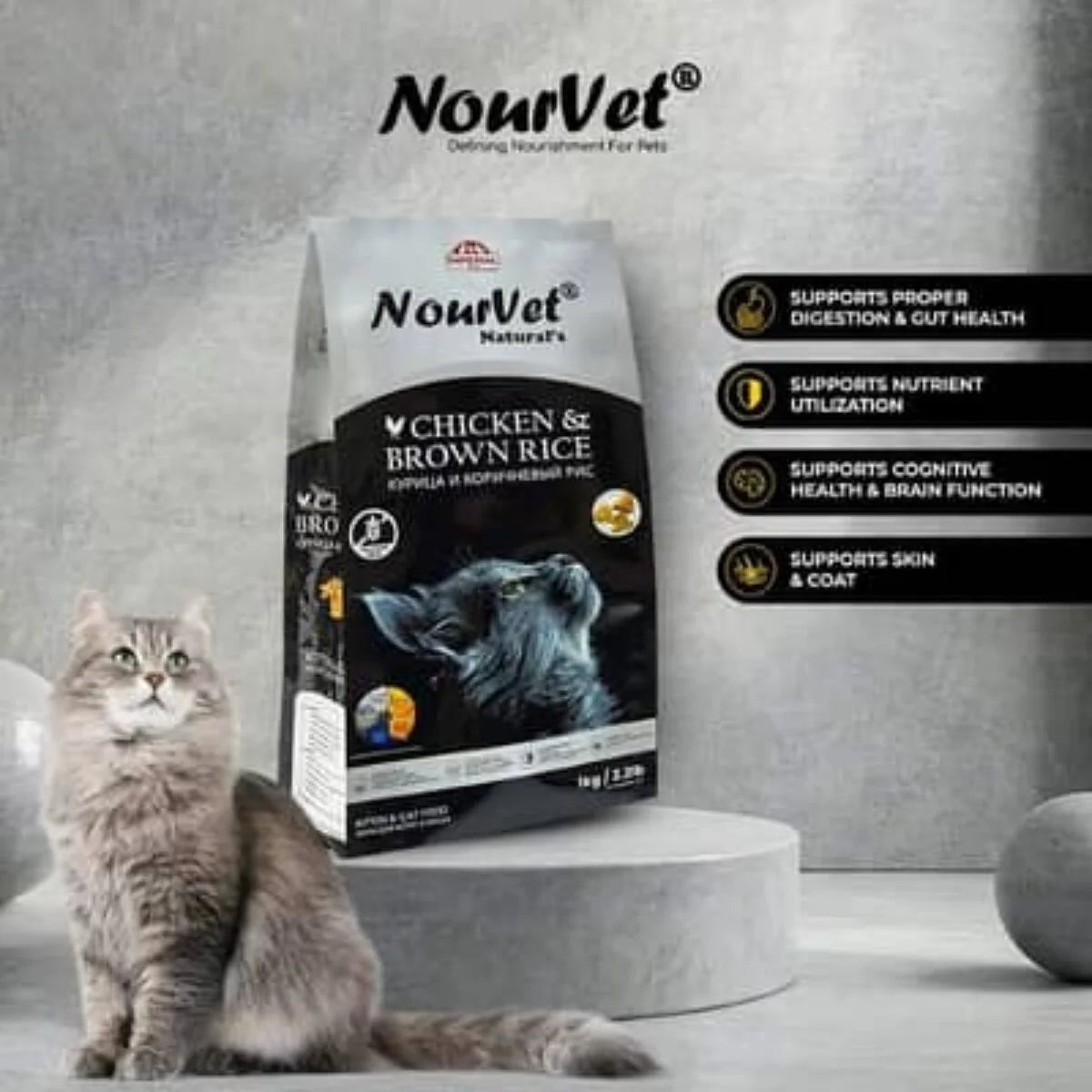Nourvet Natural Cat Food – 1 KG