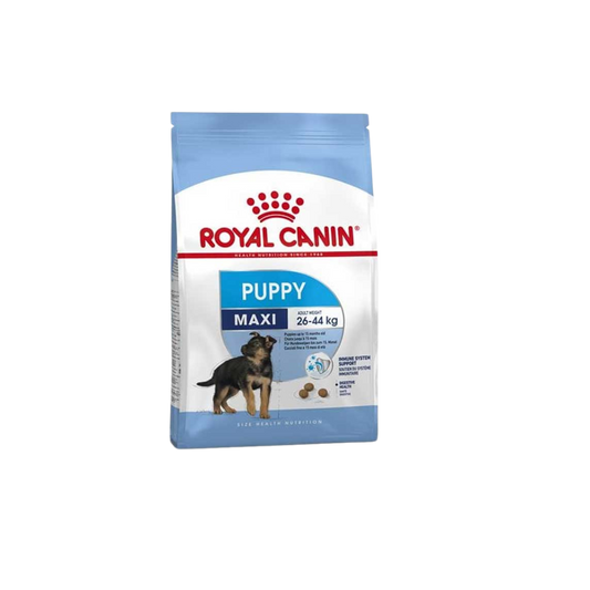 Royal Canin Maxi Puppy