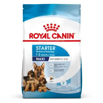 Royal Canin Maxi Starter Mother Baby Dog Food – The Pet Markaz