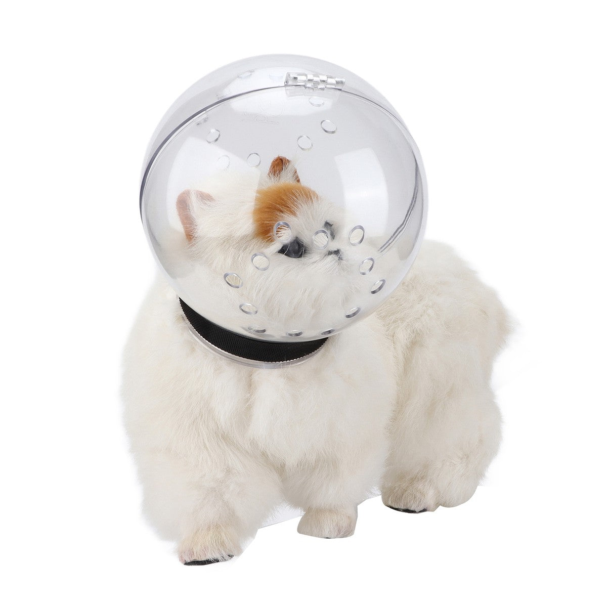 Cat Space Hood – Anti Bite