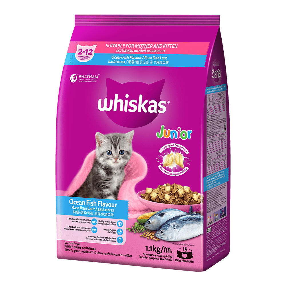 WHISKAS® Junior  Dry Cat Food 1.1kg