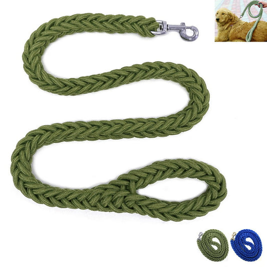 Braides dog Leash