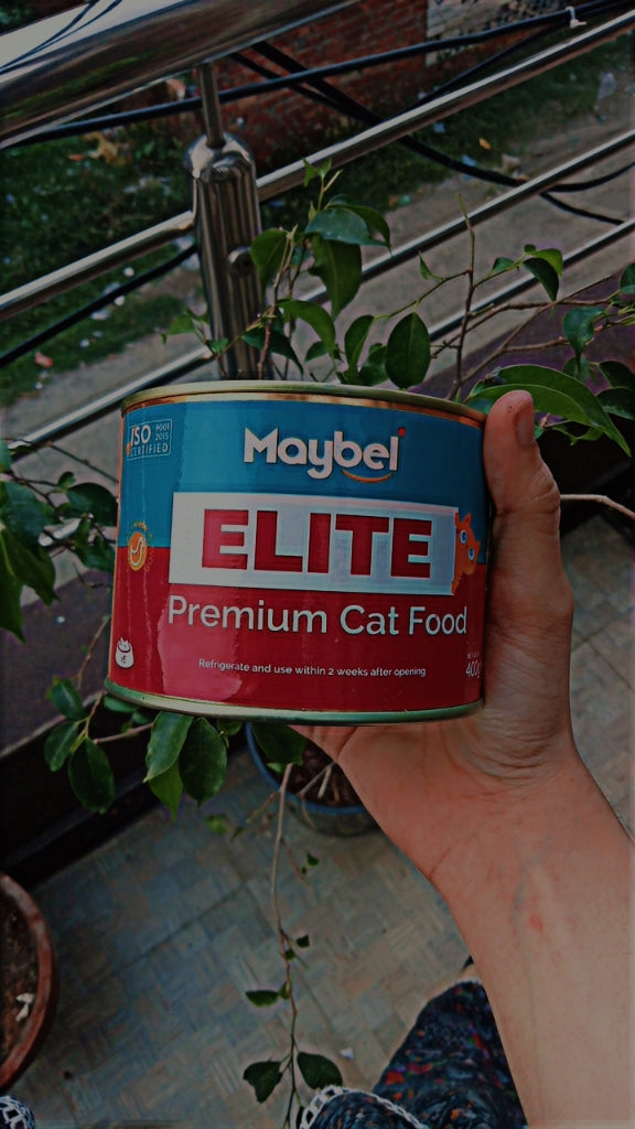Maybel Elite Premium Wet Cat Food – 400 Gram