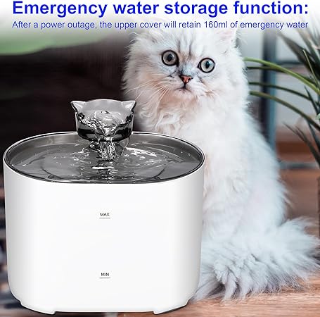 Automatic pet Water Fountain