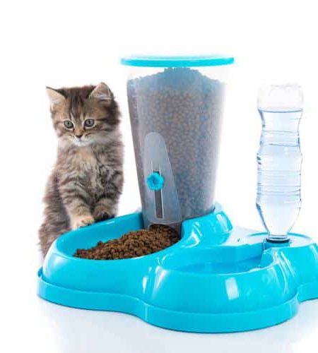 Cat Dog Automatic Feeder Drinking Dispenser