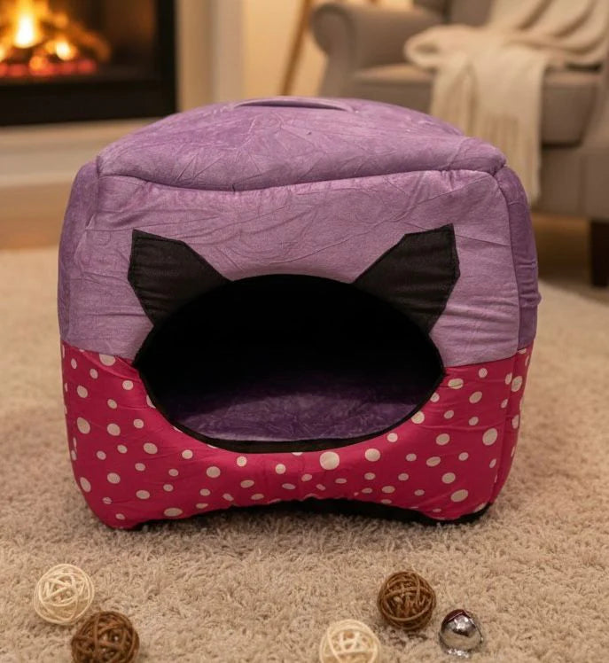 House in a Bed (House Cum Bed)