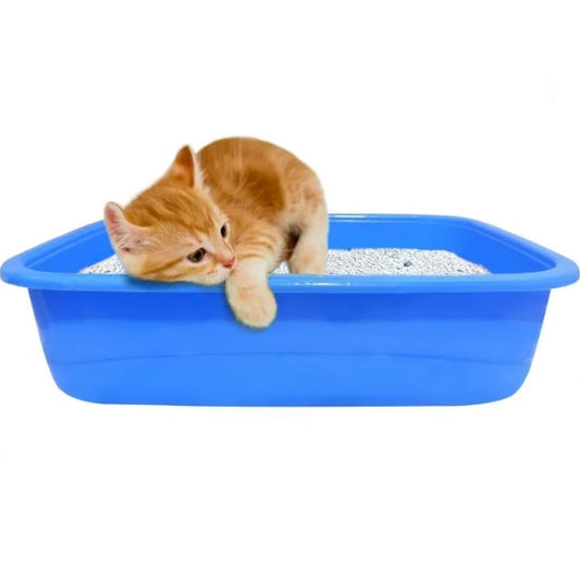 PawComfort Litter Tray for Kittens