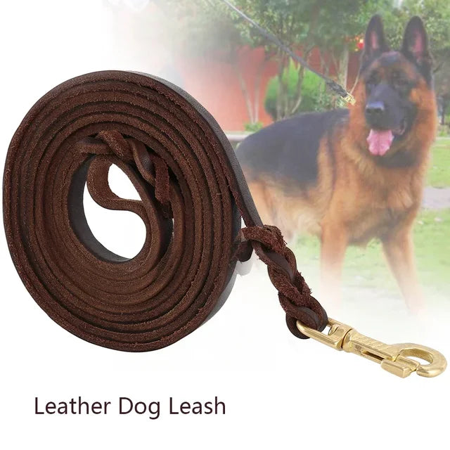 Joytale Genuine Cowhide Leather Dog Leash 10ft