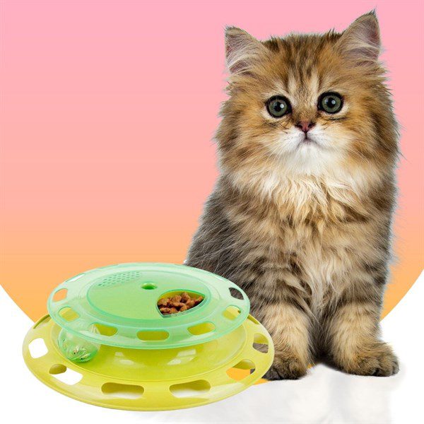 Cat Chase Track Cat Toy, Green