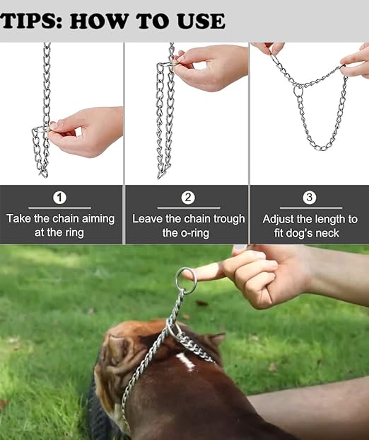 Dog Choke Slip P Chain