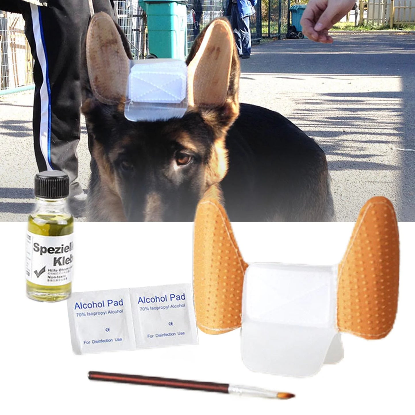 DOGS EAR SUPPORT STRUDS