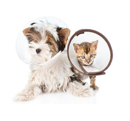 Pet Cone E-Collar