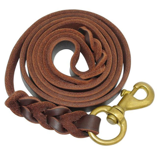 Joytale Genuine Cowhide Leather Dog Leash 10ft