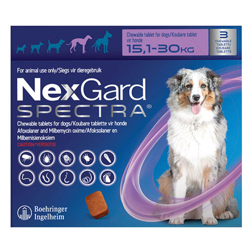 NexGard chewable tablets for dogs