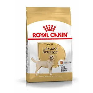 Royal Canin Labrador Retriever Adult Dog Food